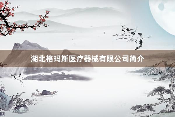 湖北格玛斯医疗器械有限公司简介